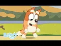 Download Lagu Bingo wil een Meeliften 🧡 | Bluey Serie 2 - Op Papa's Rug | Bluey - Officieel Nederlands kanaal