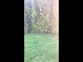 Fresh spring air