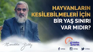Hayvanların kesilebilmeleri için bir yaş sınırı var mıdır?