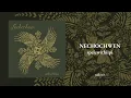 NECHOCHWEN - spelewithiipi (Full Album)