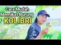Lagu CARA MEMIKAT BURUNG KOLIBRI DENGAN MUDAH MENGGUNAKAN MP3..