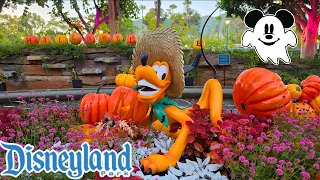 Searching for the NEWEST Merch at Disneyland Resort