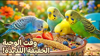 لحظة ممتعة: وجبة سعيدة للبادجي