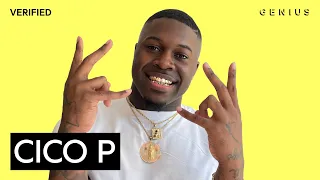 cico p tampa official lyrics u0026 meaning verified