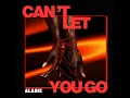 Can't Let You Go