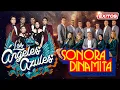 Download Lagu ¡Cumbias para Bailar Toda la Noche! 💃 | Los Ángeles Azules \u0026 Sonora Dinamita 🎶 Mix Explosivo