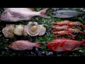 Download Lagu ForkingHipsters by SportsKitchen Cooking \u0026 Travel Show Teaser