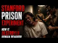 Stanford prison experiment why they stopped experiment gone wrong