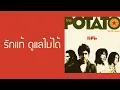 the POTATO - รักแท้ ดูแลไม่ได้  (พ.ศ.2548)