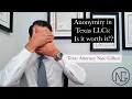 Anonymity for LLCs Can You Form An Anonymous LLC in Texas Yes - But is it worth it
