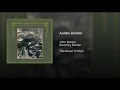 Auntie Aviator - John Martyn & Beverley Martyn