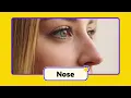 400 Baby's First Words Flashcards | Learn to Talk for Babies | Toddler Learning