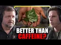 Top Medicinal Chemist Explains Why Coca Leaf Should Be Legalized Chris McCurdy