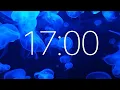 17 Minute Timer with Ambient Music and Jellyfish