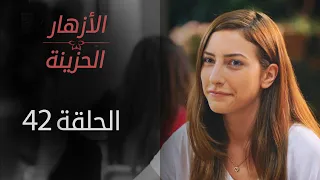 مسلسل الأزهار الحزينة الحلقة 42 الموسم الأول 