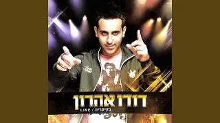 מילים פשוטות LIVE 