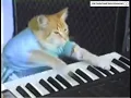 Download Lagu Cat playing KYLE iSpy feat Lil Yachty