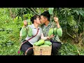 Download Lagu Harvesting super big mangoes to sell to villagers - Linh's Life