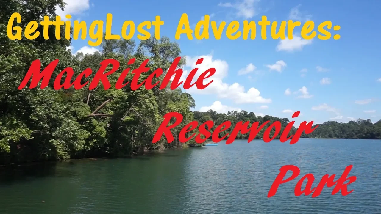 GettingLost Adventures : Exploring MacRitchie Reservoir Park