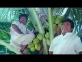 Download Lagu வாங்க நம்ம தோப்புல இளநீர் சாப்பிடலாம்! இன்னைக்கு நான் டிராயர் போடல😜நீங்க மரத்துல ஏறுங்க🤣 #Goundamani