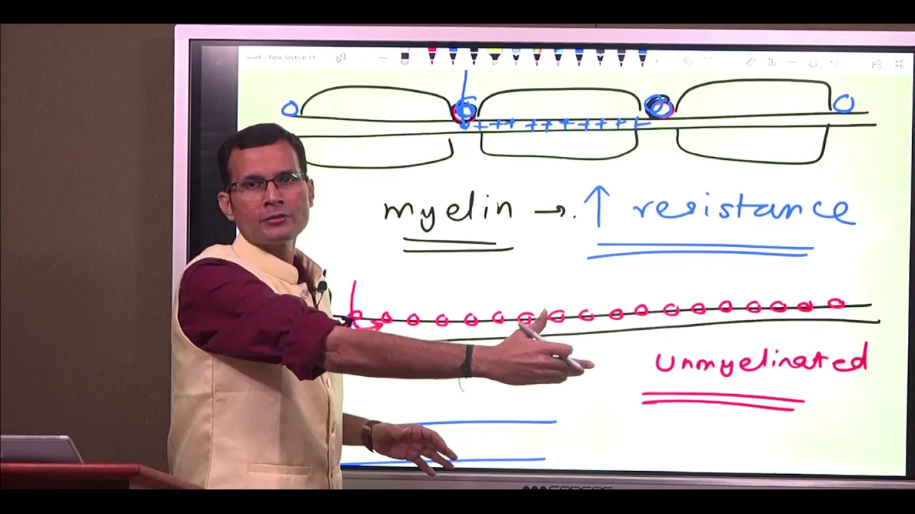 Multiple sclerosis:- The pathophysiology; effects of demyelination. #viveksirsphysiology #vsp