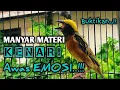 Download Lagu MANYAR GACOR FULL NGEROL ISIAN KENARI AMPUH BUAT MASTERAN MANYAR ANAKAN, MANYAR MUDA DAN OMBYOKAN
