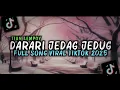 Download Lagu DARARI JEDAG JEDUG FULL SONG VIRAL TIKTOK 2025