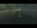 Korok seeds Hebra Plunge Hebra Tower -