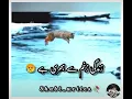 Lagu manjil Mile ya na Mile yah to muqaddar ki baat hai#viral #new trinding video
