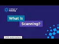 What is scanning explainer 2 Problem solving with the SARA model