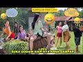 Download Lagu KOMEDI LUCU SUKA GODAIN CEWEK AHIIRNYA KENA GAMPAR !! KUMPULAN VIDIO LUCU
