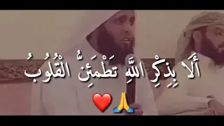 الا بذكر الله تطمئن القلوب منصور السالمي حالات واتس 