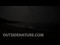 [2 HOURS] [4K] Full Moon Night at the Beach - Relaxing waves