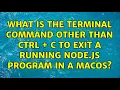 What is the terminal command other than ctrl c to exit a running Node js program in a macOS
