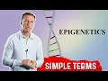 What Is Epigenetics In Simple Terms - DNA Sequencing