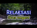 Lagu Suara tonggeret/Cicadas,jangkrik,walang kecek untuk terapi dan relaksasi tidur