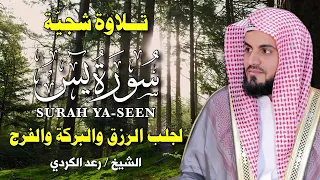 سورة يس بصوت رعد الكردي تلاوة خاشعة تهز القلوب وت ريح النفس Surah Yaseen By Raad Al Kurdi  سورة يس بصوت رعد الكردي تلاوة خاشعة تهز القلوب وت ريح النفس Surah Yaseen By Raad Al Kurdi