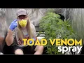Toad Venom STS Reversal Spray w Chad Westport Spider Farmer 6 oscillating fan