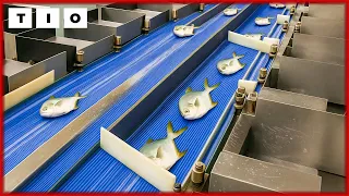 Most SATISFYING Factory Machines And Ingenious Tools That Are On Another Level 2 Ingenioustools 