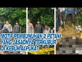 Download Lagu Motif Pembunuhan 2 Petani yang Jasadnya Terkubur di Kebun Alpukat, Pelaku Diamankan