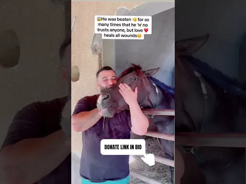 Let's join hands to save innocent horses!! #help #horse