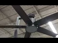 Hunter Acela 52 Ceiling Fan at The Home Depot