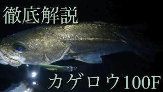 【シーバスルアー】カゲロウ100Fの使い方！　このルアー凄く芸達者です…