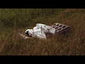 hippo campus - traveler