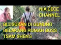 Download Lagu Explore gunung tsam sheng belakang rumah bosku vlog tkw hongkong #exploregunungtsamsheng
