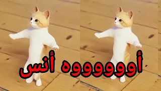 اغنية باسم انس الزين عيد ميلاده اول تعليق السعودية الكويت ابوظبي البحرين العراق الجزائر دبي تركيا 