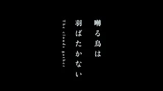 YouTube影片, 內容是鳴鳥不飛 烏雲密布 的 前導影片