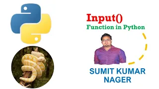 Input function in Python Input in Python Python Basic