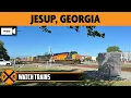 Jesup Georgia USA LIVE Train Camera Virtual Railfan Fixed View - North