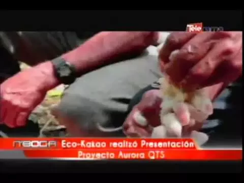 Eco-Kakao realizó presentación proyecto Aurora QTS